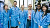 Members of the Hammer Lab